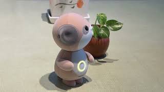 シャープ「ポケとも」にピンクのカーネーションを見せてみた! - YouTube