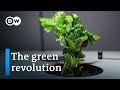 Biofuel instead of coal and oil  how promising are these renewable resources  dw documentary