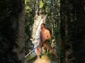 Always chasing waterfalls #longsword #hema #hiking #waterfall