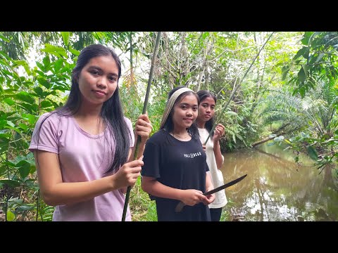 Gadis Dayak || Mancing, Cari Rebung dan Pakis di Sungai Hutan Kalimantan
