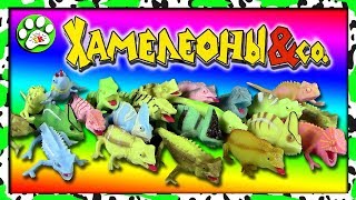 ХАМЕЛЕОНЫ и КО Деагостини НОВИНКА!!! ХАМЕЛЕОНЫ и КО Деагостини НОВИНКА!!!