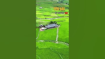 Hẹn Mù Cang Chải - Yên Bái vào một mùa lúa 🌾 chín #travel#mucangchai#yenbai