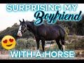 SURPRISING my boyfriend with a NEW HORSE! [Part 1]