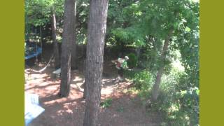 Mosquito Squad - Mosquito Control and Barrier Services