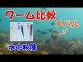 【水中映像】デイメバルに有効なワーム（やっぱりそれが良いのか）