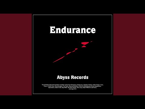 Endurance — You Don't Understand (The Male Dub)