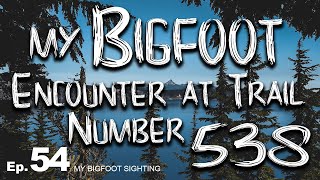 My Bigfoot Encounter at Trail Number 538 - My Bigfoot Sighting Episode 54