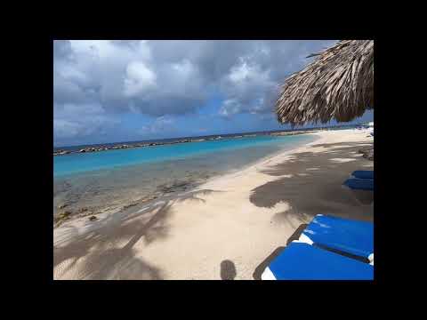 Hotel Catalonia Bavaro Beach 2023 Punta Cana Description and Review Dominican Republic