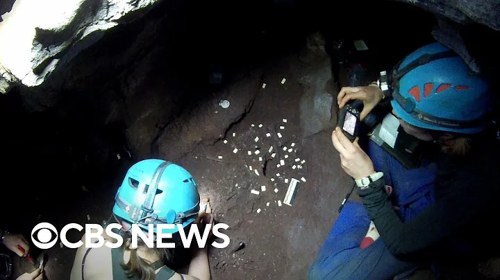 Pre-human ancestor may be first to use fire as a tool, researchers say