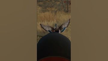 Easy Mallard Shot in Hunter Call of the Wild! #gaming #hunting