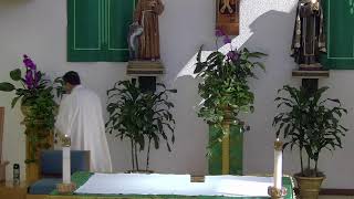 Morning Mass 8AM 7/14/26