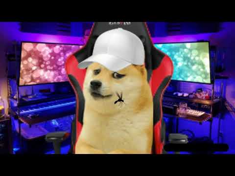 Doge Gaming - Doge and Cheems memes - YouTube