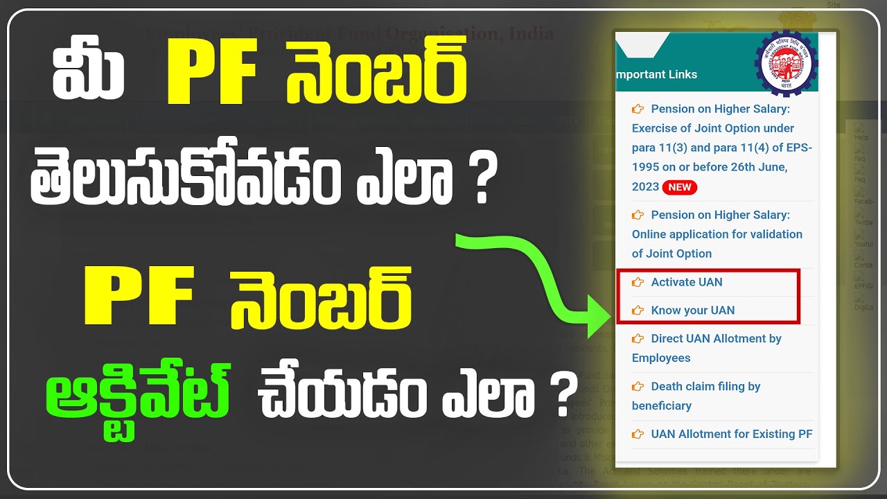 how to know pf number | how to activate pf number - YouTube