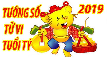 TỬ VI 2019 TUỔI TÝ - VƯỢNG CÁT | KHÁM PHÁ CS