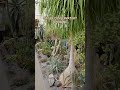 The Gaiser Conservatory is an indoor botanical garden located in Spokane's Manito Park.