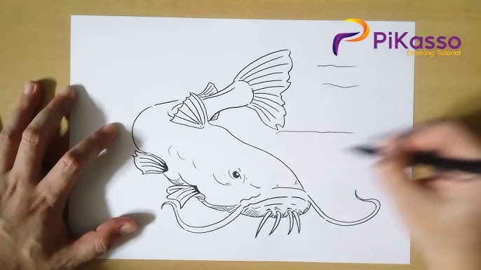 How to Draw a Catfish - Easy Pictures to Draw 