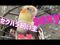 【下ネタ注意】セクシーすぎる　フライトスーツ