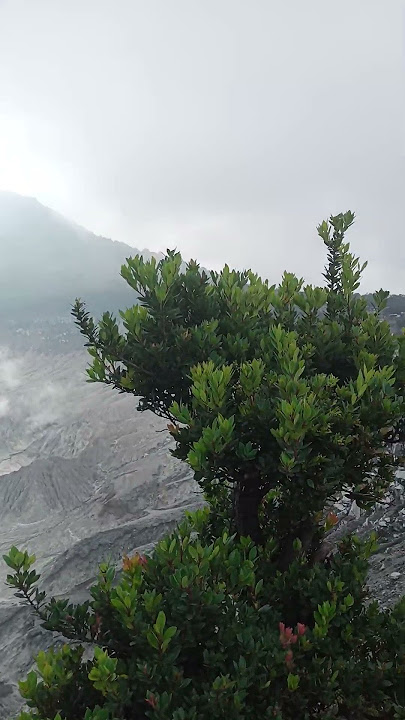 story wa di tangkuban perahu subang #fypシ #fypシ゚viral #viral #viralshort #fyp #roblox #viralshorts