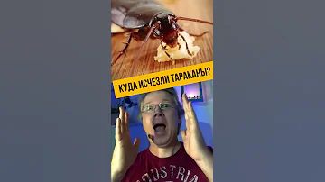 Куда на самом деле исчезли тараканы?