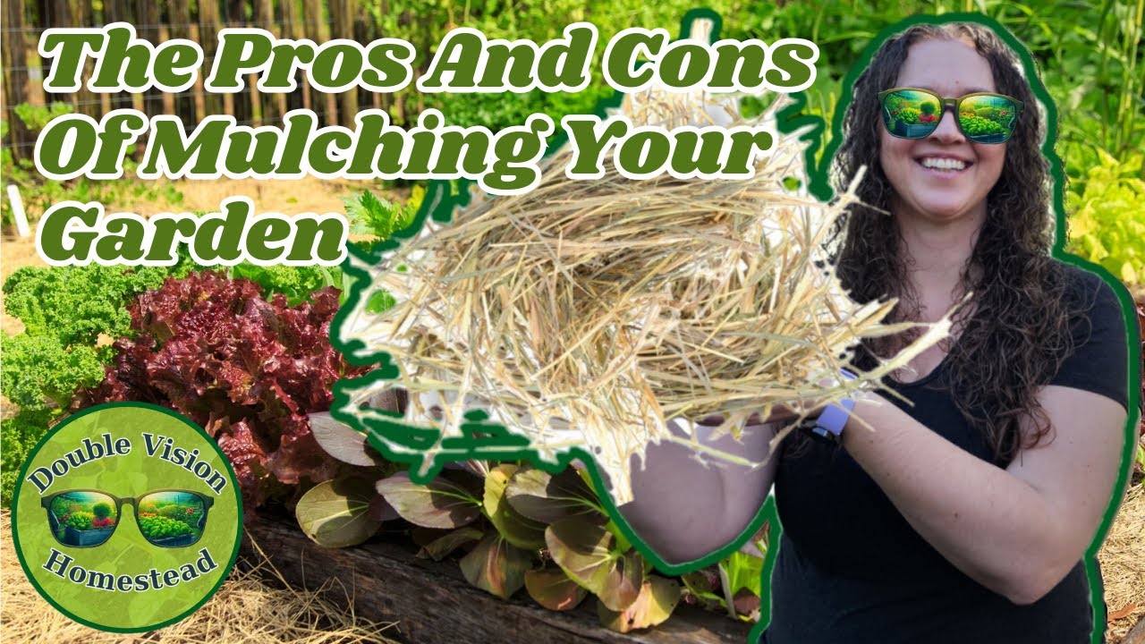 Pros and Cons of Mulching Your Garden YouTube