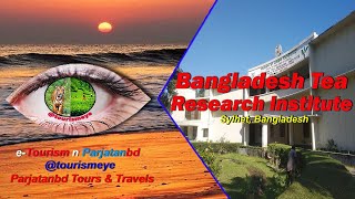 Bangladesh Tea Reasearch Insute Btri, Sylhet, Bangladesh Bangladesh Tea Reasearch Insute