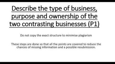 BTEC level 3 business Unit 1 Business Environment P1