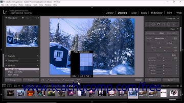 Lightroom Classic CC Tutorial Setting the White Balance Adobe Training
