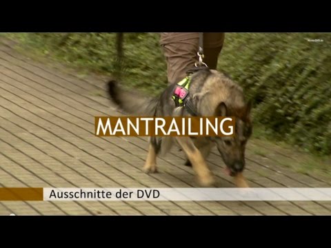 Mantrailing 1 - Vom 1. Trail bis zur beginnenden Kreuzungsarbeit