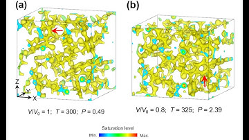 Quantum and classical molecular dynamics simulations of shocked polyurea and polyurethane