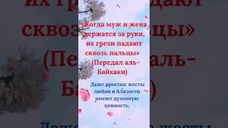 основы Ислама #любовь в исламе#семья#любовь