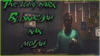 Первое впечатление или как выжить в лесу🐱 The Long dark