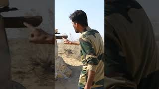 लोंगेवाला की पवित्र भूमि पर उस भारतीय फौजी ने क्या बोला | Indain Fouji Longewala,Jaisalmer #shorts