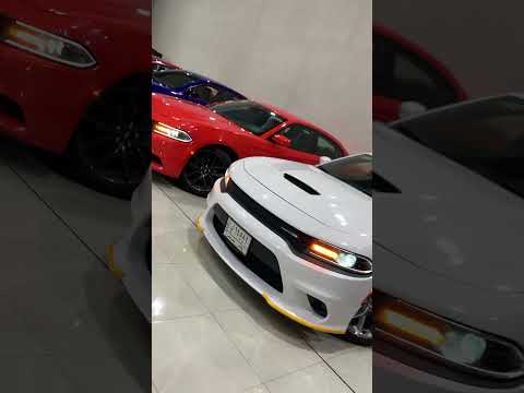 العربي للسيارات زورو موقعنا الكائن البصره شارع الوفود قرب تقاطع دويد07730232773