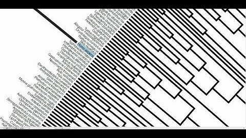 The Origin of Species (New - Tree of life)