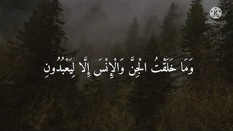 فَتَوَلَّ عَنْهُمْ فَمَا أَنْتَ بِمَلُومٍ...|من سورة الذاريات|إسلام صبحي|أرح قلبك.. ❤🌾