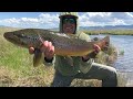Glacier Park Shuttle Update, Toxic Spill, Invasive Brown Trout Alert & Bison Range Baby Boom