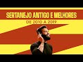 Top Sertanejo Universitário 2010-2019 🎶 | Melhor playlist com os clássicos do gênero