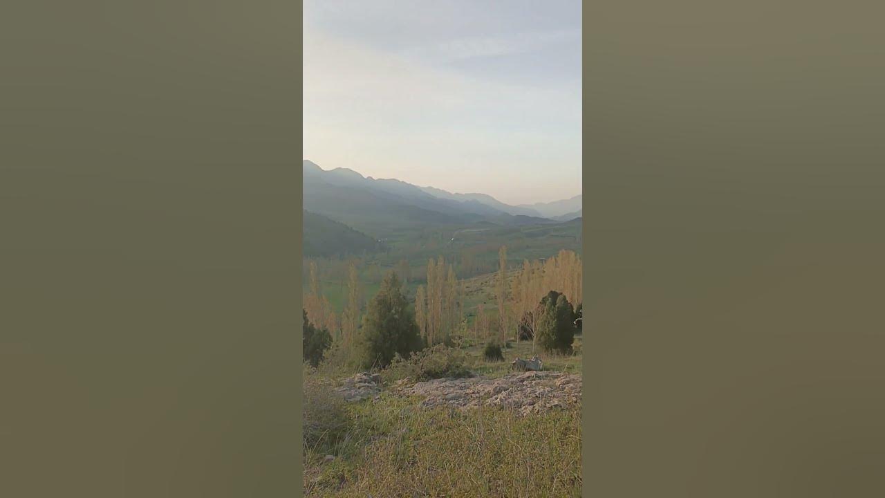 Сахарам давлати бедор ба болин омад Хофизи Шерози - YouTube