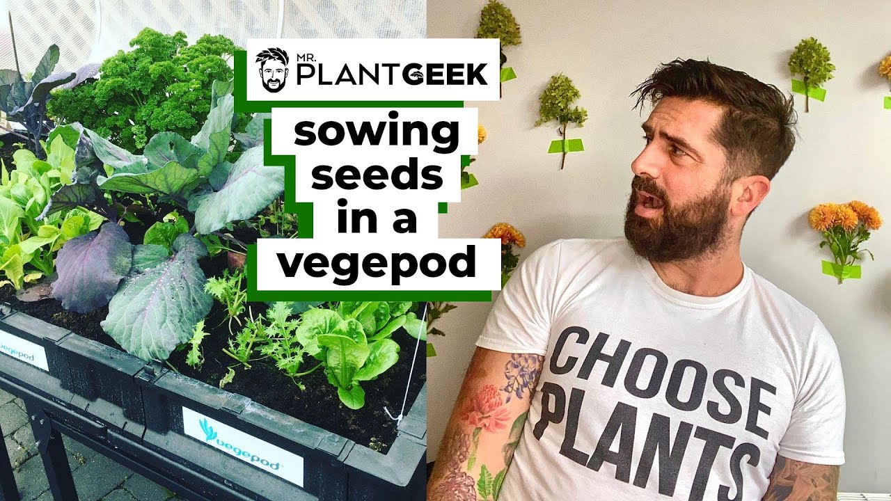 Sowing Seeds In A Vegepod | Mr Plant Geek - YouTube