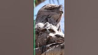 🎶Let’s get it on 🎶