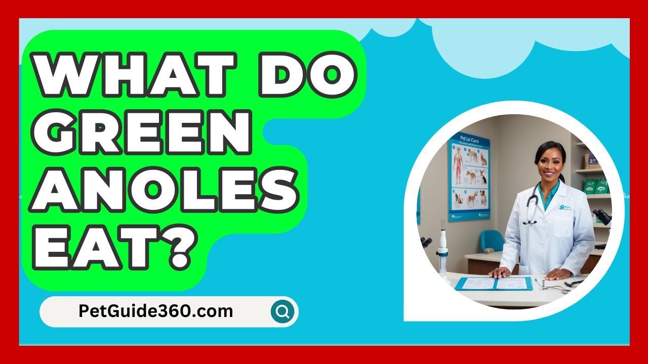 What Do Green Anoles Eat? - PetGuide360.com