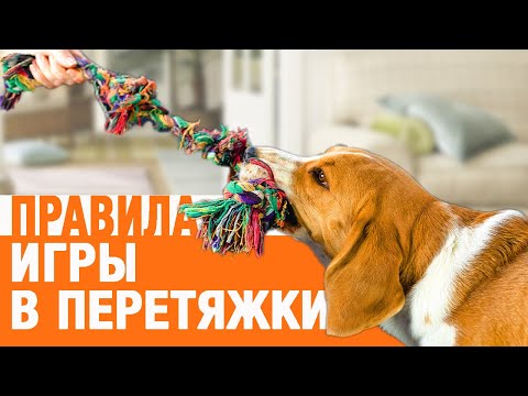 Как правильно играть в перетяжки. Мифы и правда