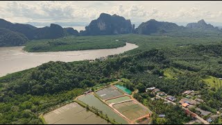 วีดิทัศน์ 