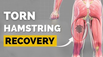 Hamstring Tear? How long you