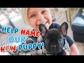 😬 NAMING OUR NEW PUPPY! 🐶 | Slyfox Family