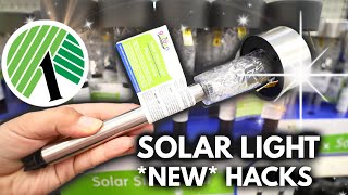 The genius NEW reason everyones buying Dollar Store Solar Lights