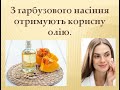 Овочі - основа здорового меню. Яка користь від гарбуза. НУШ 1 клас, тиждень Рослини.