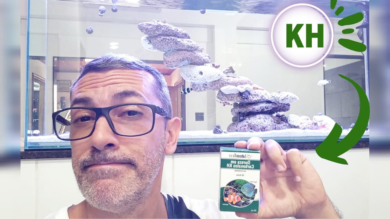TESTEI O KH NO MEU AQUÁRIO MARINHO PELAS 2 LINHAS DE MEDIÇÃO SERÁ QUE DEU DIFERENÇA 🤔 #aquario #test