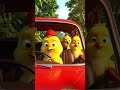 Brave Chicks Rescue the Baby from Dogs 🐥👶🔥