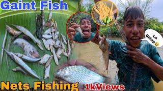 Nets Fishing Caught Gaints Eel Fishes La Billap